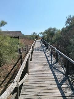 Foto 6d224439-0c63-4a99-8a36-bd2f9330c098. Xalet a La Laguna Chipiona