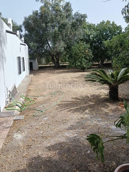 Foto 744d6e08-fdba-4387-90bc-6c22602324ac. Xalet a Barrio Nuevo Conil de la Frontera