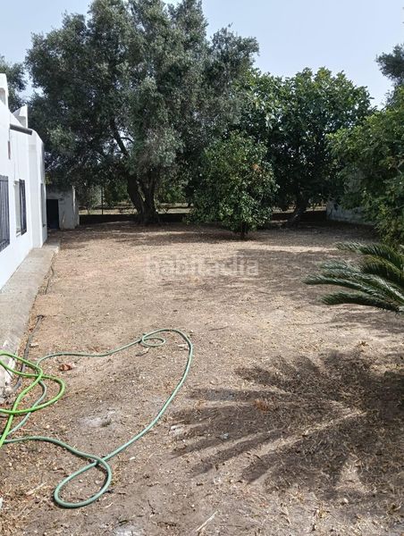 Foto ea0a3f76-308e-42ed-b0e1-e4fc195f71f0. Xalet a Barrio Nuevo Conil de la Frontera