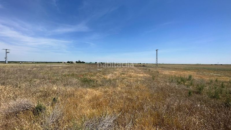 Foto 4a2ba2e9-3e42-4cec-86c9-f6e3c7cad9a5. Chalet fachada de cemento con revestimiento de piedra en Pinarnegrillo