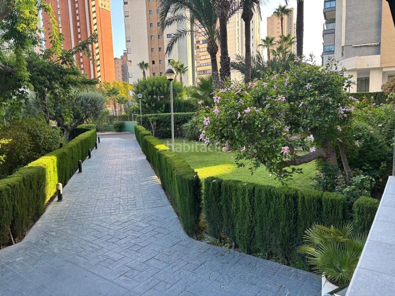 Foto 51280c30-0784-4ed7-b367-6b61792c981b. Apartament amb calefacció aparcament piscina a Levante Alto Benidorm