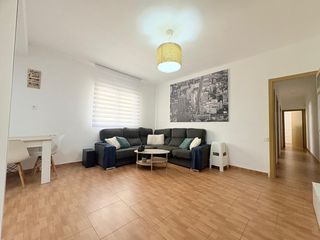 Flat in Can Palet