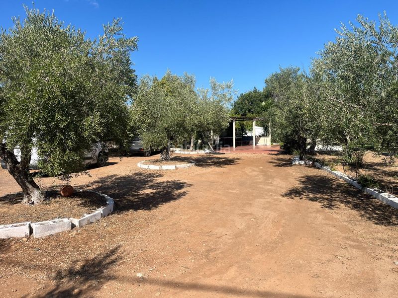 Foto f047457d-f98b-4a88-87dc-5e8a5893539b. Chalet in Poble Mont-roig del Camp