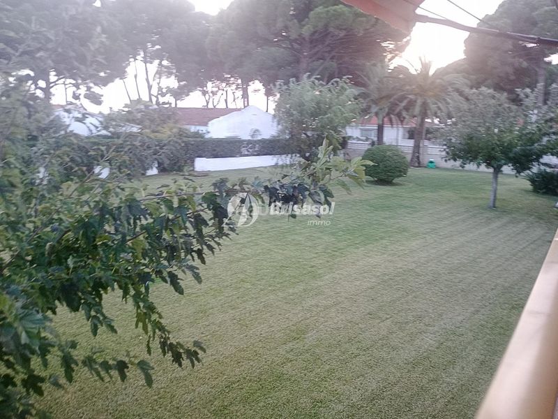 Foto 1860abf6-a2c3-42b4-a9e6-59ce5dcb948e. Estudi a Vilafortuny Platja Cambrils