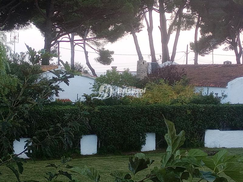 Foto 7421d2c1-ad03-4e63-9259-6915d14c5e21. Estudi a Vilafortuny Platja Cambrils