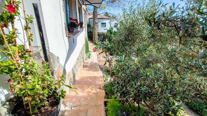 Foto c53930b7-7808-47bc-a989-8c5640083c93. Casa a Almoster