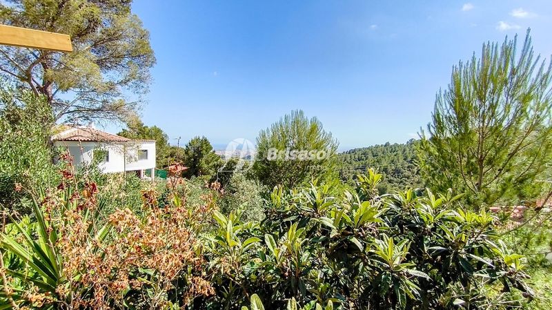 Foto f712495d-12d9-4e89-ac61-da53d099df4f. Casa a Almoster