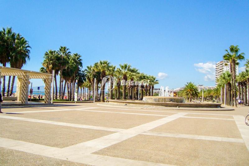 Foto 1b8b39e5-89fd-481b-9f70-8636ef034f5c. Apartamento  de 39m en paseo jaime i en Salou