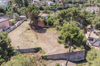 Terreny residencial a Carrer surera de la 14. Parcela urbana semi plana apta para la construcción de hasta 3 v