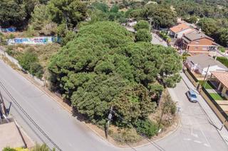 Finca rústica  Calle del xiprer. Parcela ideal para constructores con multitud de posibilidades y