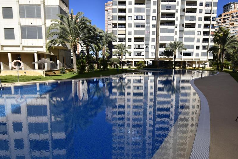 Foto 1ec80cae-1ed9-4822-b990-c87c08960c6b. Piccolo appartamento con riscaldamento parcheggio piscina in Benidorm