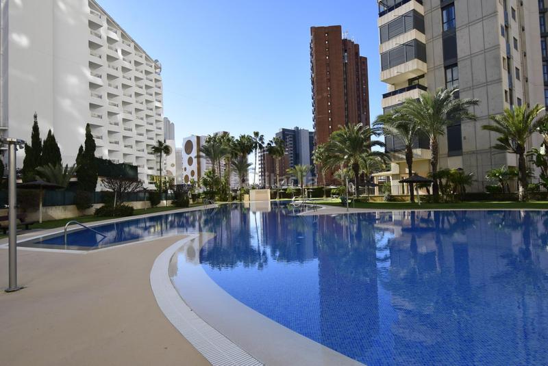 Foto 66fdff1a-9c0b-434d-ad7f-b6f35f3e5689. Piccolo appartamento con riscaldamento parcheggio piscina in Benidorm