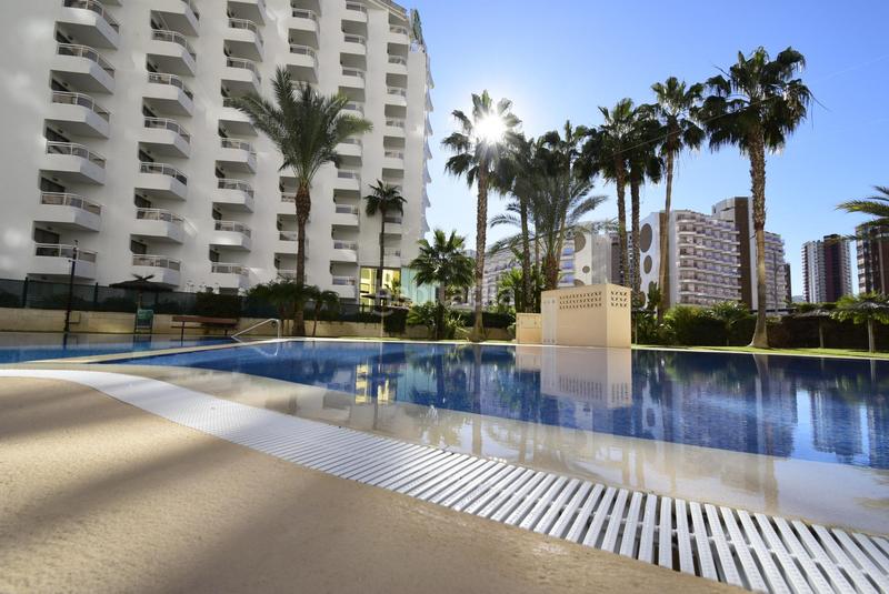 Foto 7fe5d8c0-c143-433c-90fc-675c251c2cdd. Piccolo appartamento con riscaldamento parcheggio piscina in Benidorm