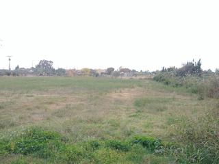 Masia a Pau Lledó. Castellónfinca rustica