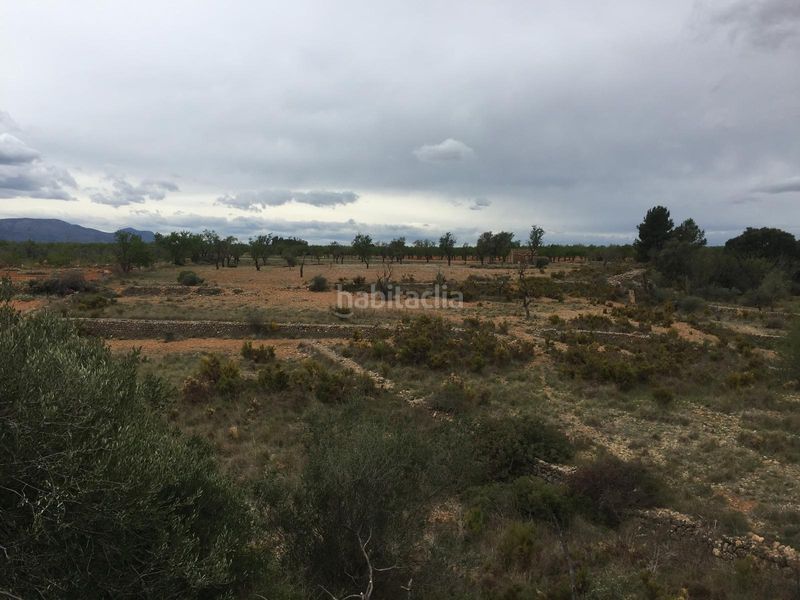 Foto 51dc60e4-d45d-4edc-96fa-35a547934857. Masia a Vall d´Alba