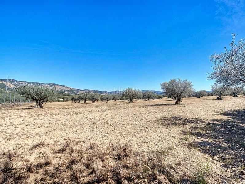 Foto 1ed38f0d-23e7-4cca-afac-17b35cea6fe1. Propriété dans Castalla