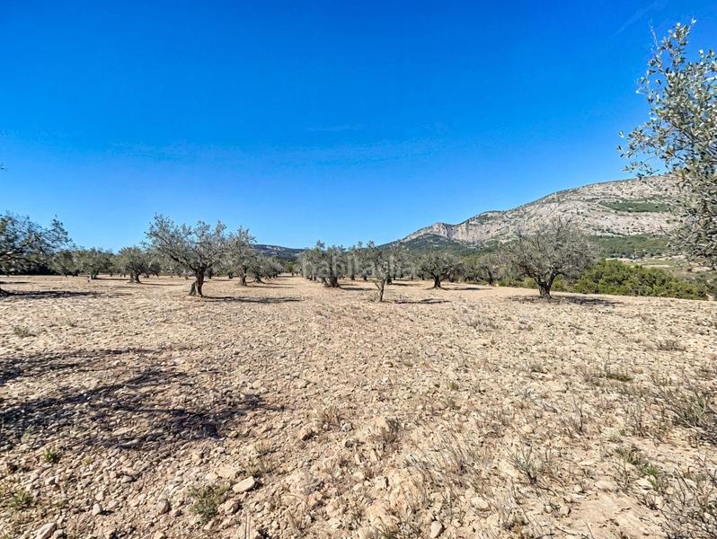 Foto fca53539-77cb-48d1-99f9-0acc394fd176. Propriété dans Castalla