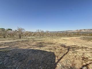 Finca rústica  Partida polígono 1 parcela 71 el coto. biar (alicante). Finca de tierra secana en partida en biar zona el coto