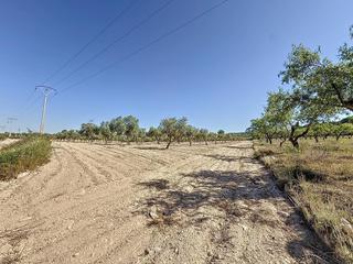 Finca rústica a Partida el cantal de ferris, pol 4, parcela 11. Oportunidad única en el puerto de biar  finca rústica de 31.500