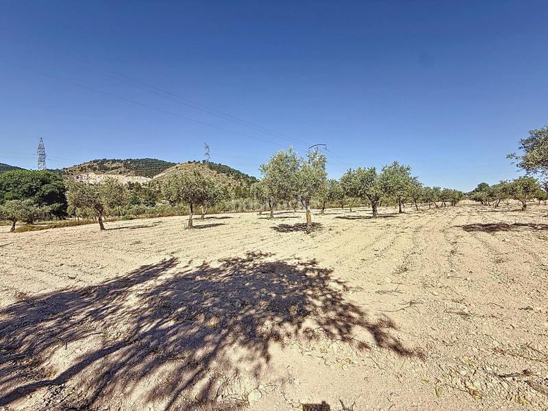 Foto 08ec9fca-6bfd-4c99-876c-85865a2e42fe. Landgut in partida el cantal de ferris in Biar