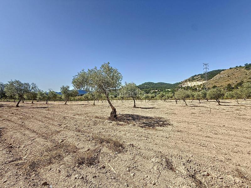 Foto 18a0598d-8adb-4643-8c10-318f5ff2b97a. Landgut in partida el cantal de ferris in Biar