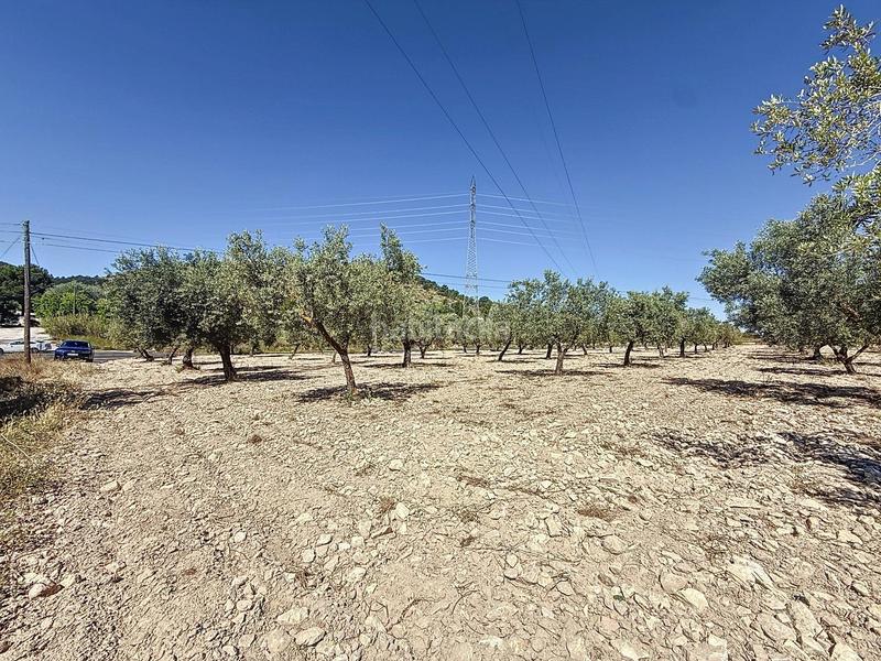 Foto 1bbdbb57-8f85-4fa6-a300-e50a3f8905cd. Landgut in partida el cantal de ferris in Biar
