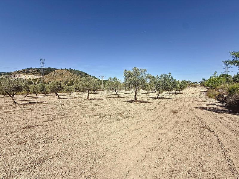 Foto 44f00173-354f-4e52-b6cd-0800b9ca2c22. Landgut in partida el cantal de ferris in Biar