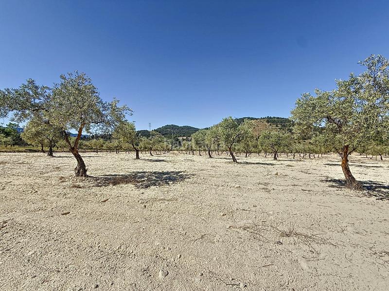 Foto 78a4e833-6ea8-461b-b9e3-dc7e28fb572f. Landgut in partida el cantal de ferris in Biar