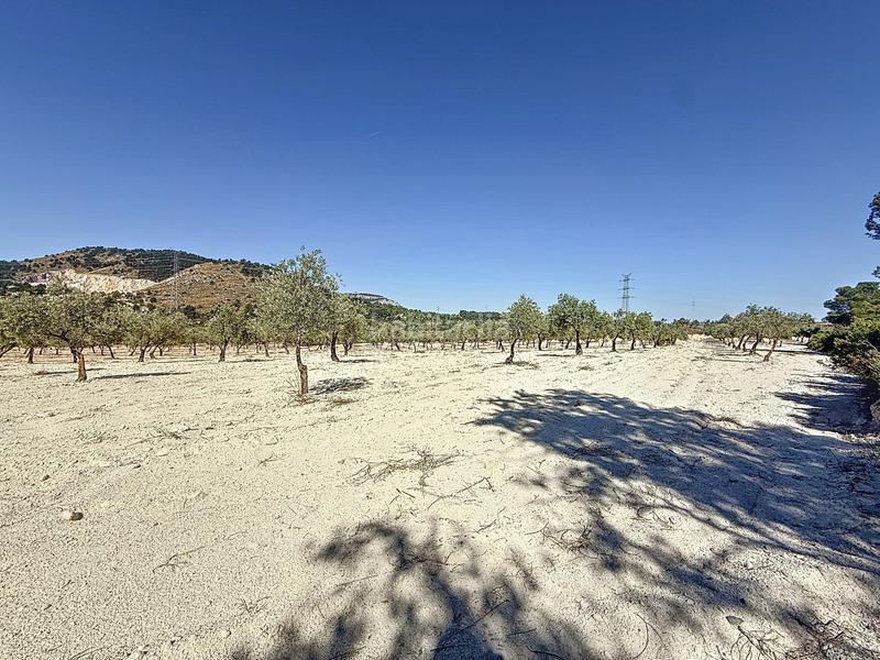 Foto 7c67d054-6c60-4847-b399-031fb1a1b773. Landgut in partida el cantal de ferris in Biar