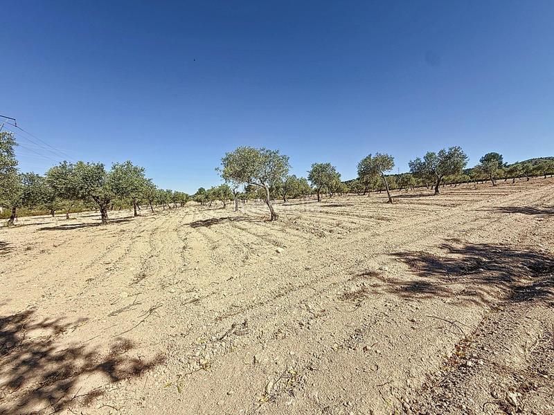 Foto 7ee9462f-13dc-491a-9b0b-dc00f59cf90d. Landgut in partida el cantal de ferris in Biar