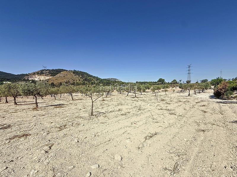 Foto 871c6dd1-5e21-4173-ad70-833b979c054d. Landgut in partida el cantal de ferris in Biar