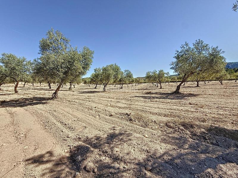 Foto be7b2123-35d5-4777-b53f-f9f07d1f9d44. Landgut in partida el cantal de ferris in Biar