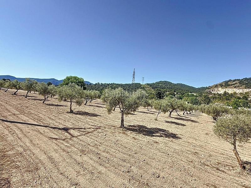 Foto e30a4c86-48b0-4110-9f0b-f36986e2bd28. Landgut in partida el cantal de ferris in Biar