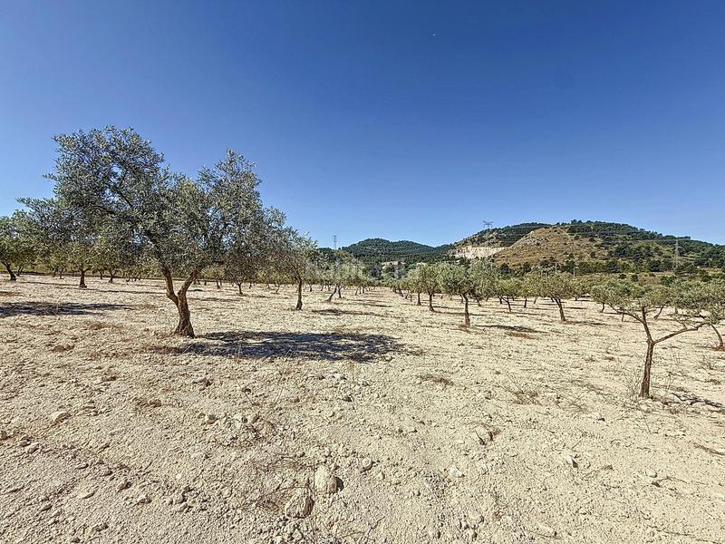 Foto e4217ce4-9476-4d66-9793-1eddbed867a0. Landgut in partida el cantal de ferris in Biar