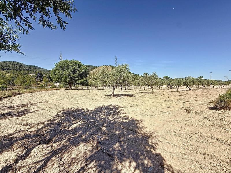 Foto ee49c377-02bf-451c-b1e1-82c7901f44a4. Landgut in partida el cantal de ferris in Biar