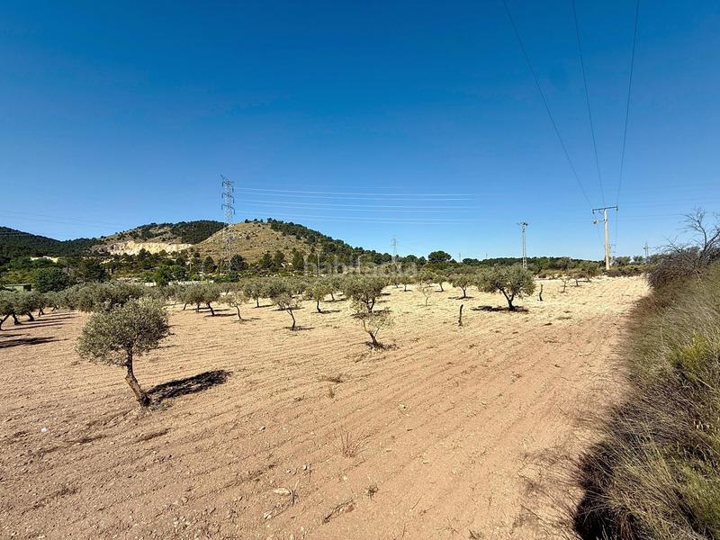 Foto f93e6c79-2766-447f-aeb3-1195e5c93672. Landgut in partida el cantal de ferris in Biar