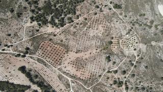 Finca rústica a Castalla. Oportunidad única 45.000 m para inversión agrícola o turismo rur