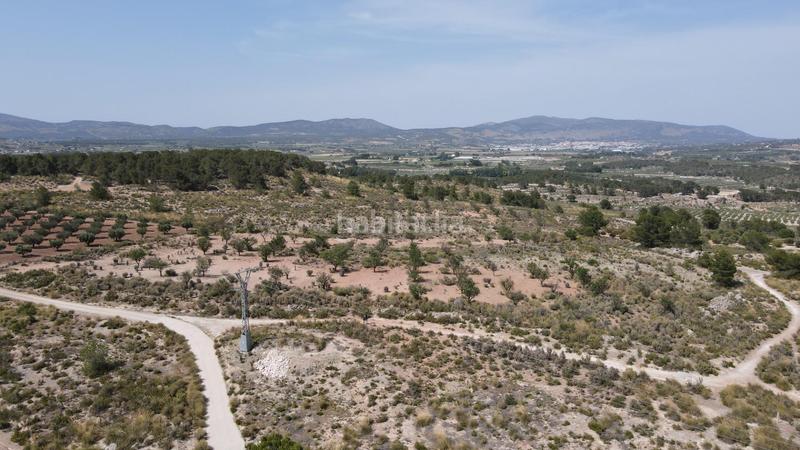 Foto 50a7a90f-a13e-4bff-877c-50700856a5bc. Fondo rustico in Castalla