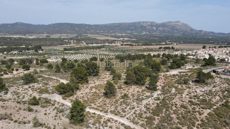 Foto 671ae5be-0a15-4073-8631-9f45310a957f. Fondo rustico in Castalla