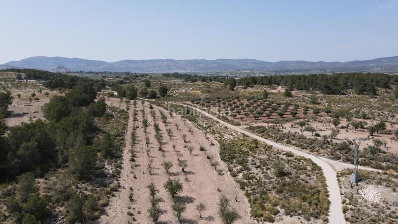 Foto fcbe15bb-6a9d-484e-93f3-6eed170d6a56. Fondo rustico in Castalla