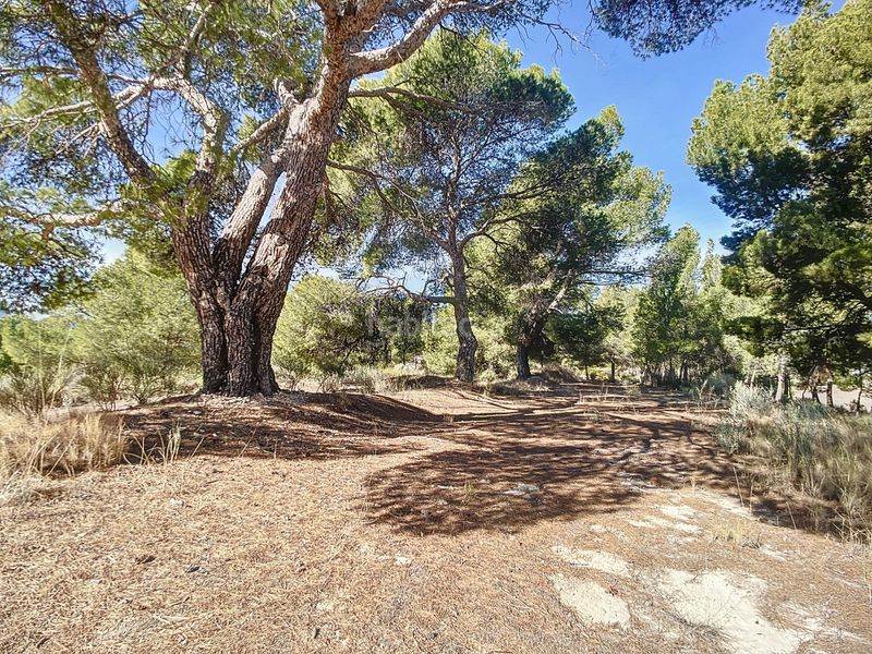 Foto a616536b-7f18-4eac-b609-dad8b860e2c6. Masia amb aparcament a Tibi