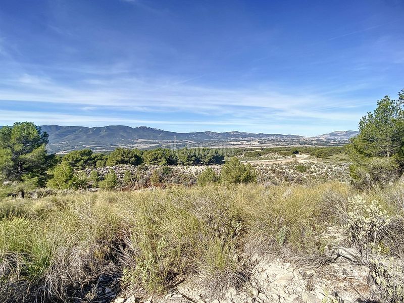 Foto fd226128-af7d-44dd-b83b-512cef97472c. Masia amb aparcament a Tibi
