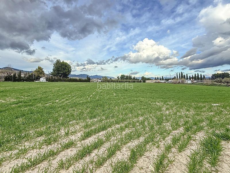 Foto 0dbd8437-f009-44c8-9953-0a1d308c684c. Finca rústica a Onil