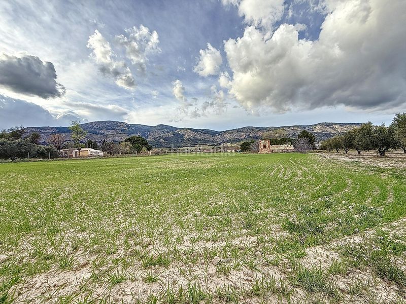 Foto 2dd7362a-ee62-490f-916a-b567d2756b20. Finca rústica a Onil