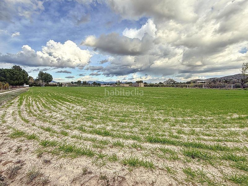 Foto 7492e4bb-73fe-4a52-9189-b4f59abdab8b. Finca rústica a Onil