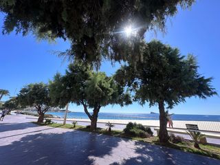 Appartement à Playa Poniente. Apartamento en primera línea playa poniente  benidorm