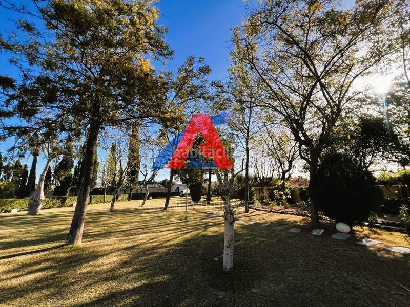 Foto 3d10ca8d-d0b8-4630-8b8c-74ed8974c6b5. Chalet villa de lujo urbana en elche, zona maitino. en Elche / Elx