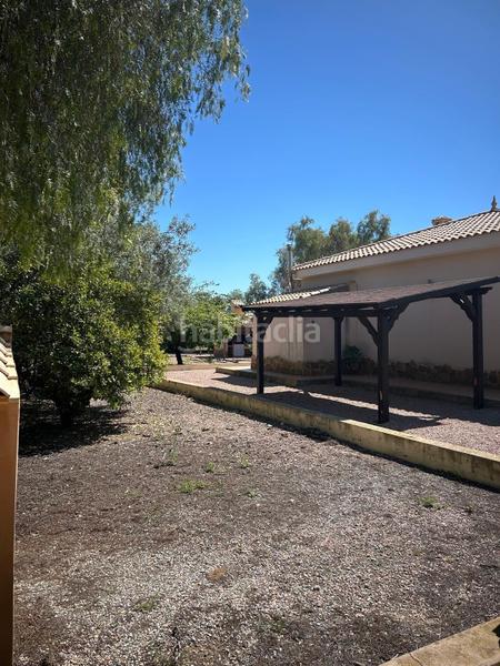 Foto e841508e-a0a3-4dd3-ab3f-c9378537c40c. Chalet el paraiso exite, lo encontrarás en este espectacular chalet en Aspe