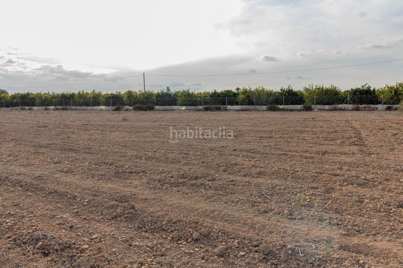 Foto 1c4166b8-6998-4af2-8ebd-7dee0526b22d. Finca rústica a Montepinar - La Aparecida - Raiguero Orihuela