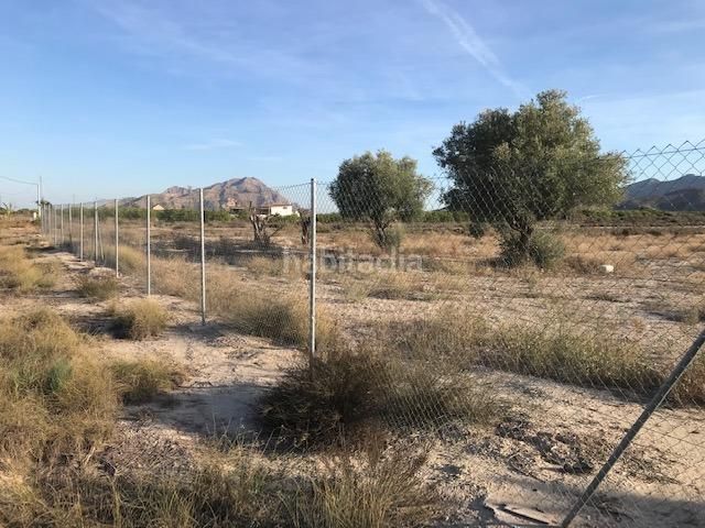 Foto 2dbd5b02-7d09-4965-97c4-9661159d170a. Finca rústica a Montepinar - La Aparecida - Raiguero Orihuela